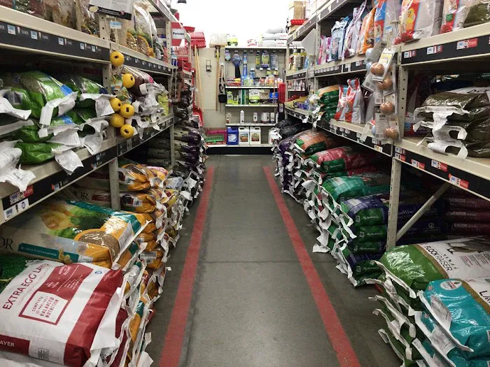 Tractor Supply Co. 1