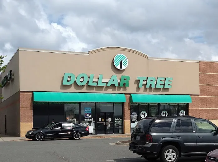 Dollar Tree 7