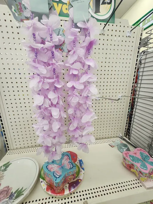 Dollar Tree 8