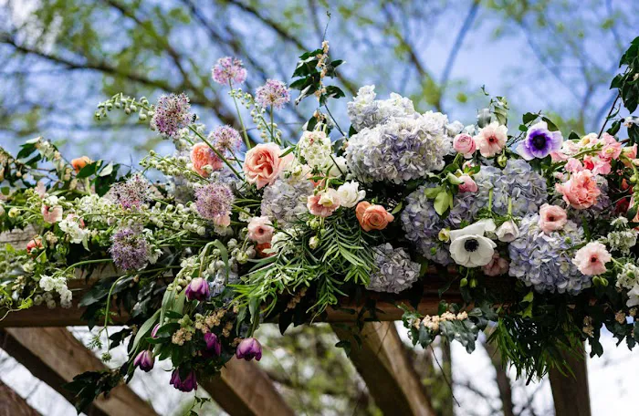 Rushing Blooms 4