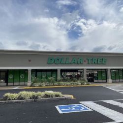 Dollar Tree ico