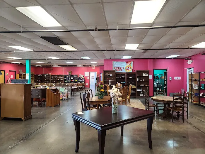 Diversity Thrift 2