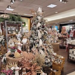 Dillard's ico