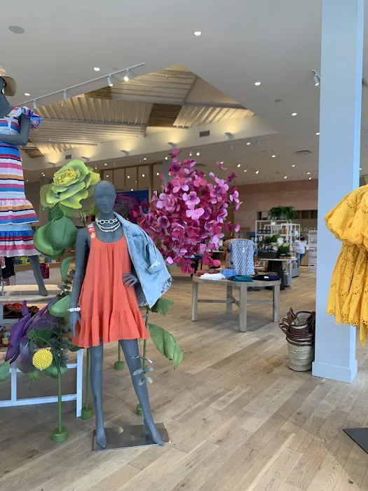 Anthropologie 4