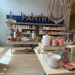 Anthropologie ico