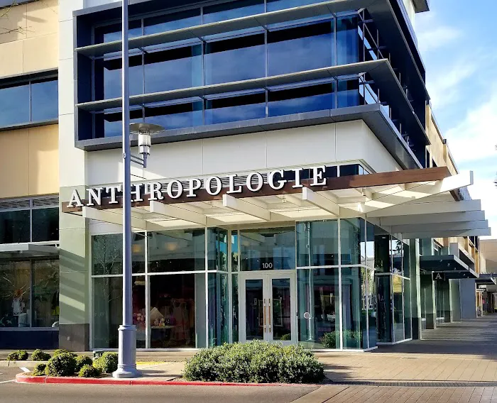 Anthropologie 8