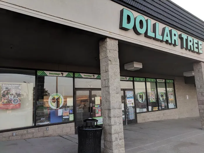 Dollar Tree 6