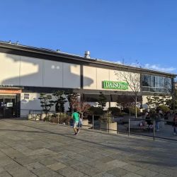 Daiso - Japanese Household Goods ico