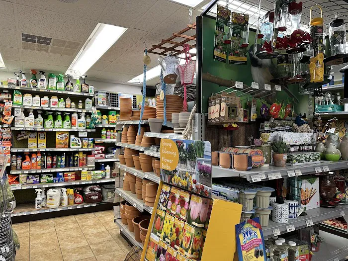 Cole Hardware 3
