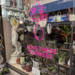 Love These Flowers LLC ico