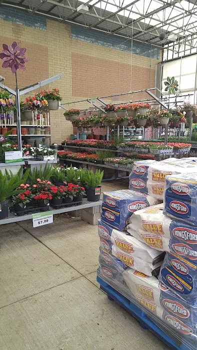 Meijer 8