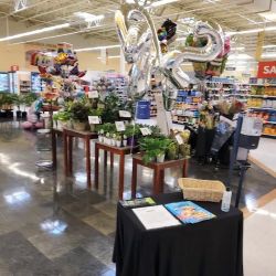 Stop & Shop ico
