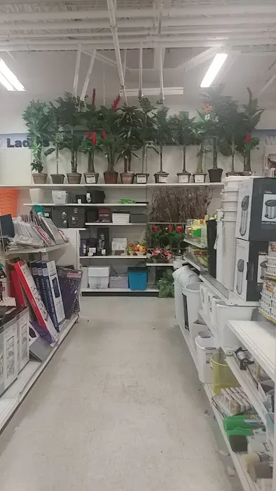 Shoppers World 2