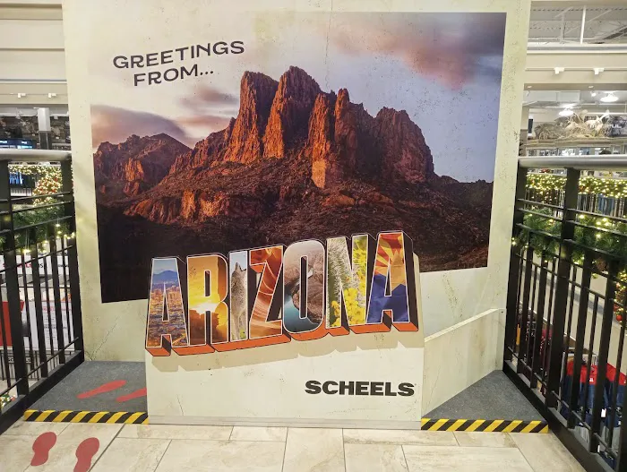 Scheels 4
