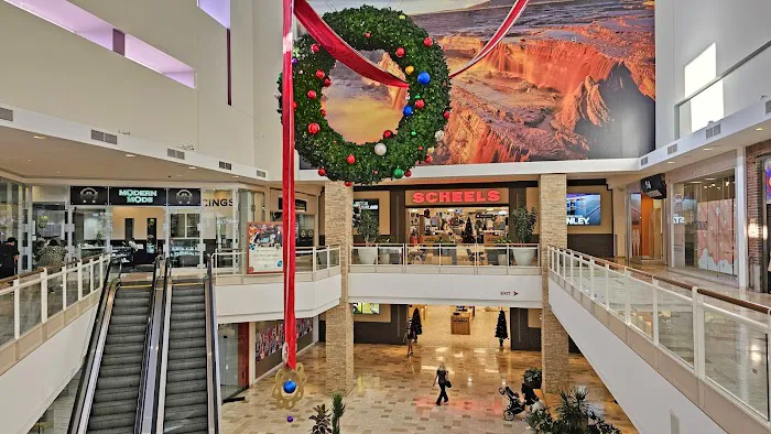 Scheels 6
