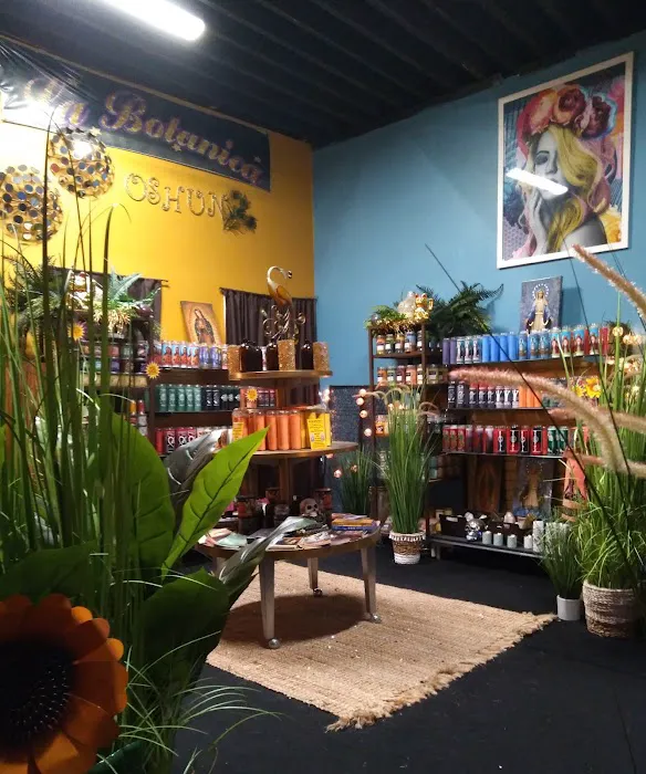 La Botanica Oshun and Yemaya 6