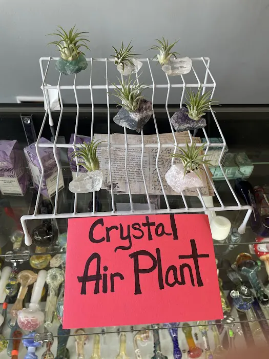 Magic Crystal Health & Wellness 6