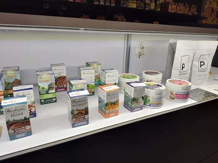 Magic Crystal Health & Wellness 3