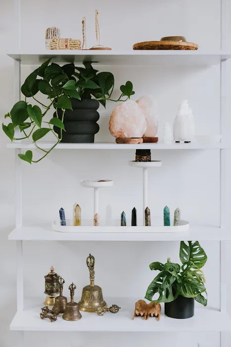 DharmaShop 7