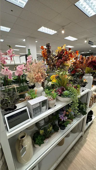 Kohl's 0
