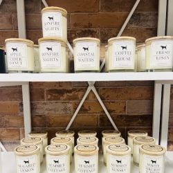 The Black Dog Candle Shoppe ico