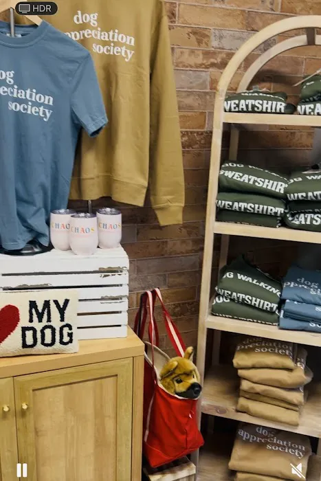 The Black Dog Candle Shoppe 4