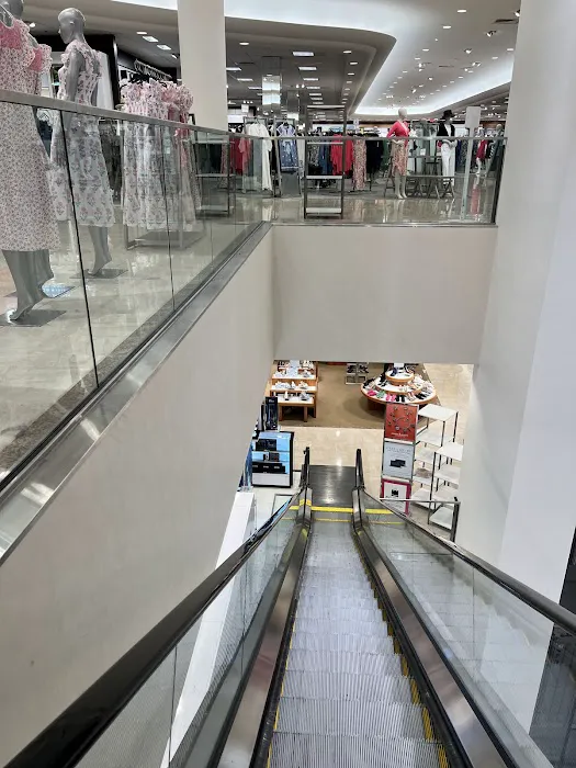 Dillard's 3