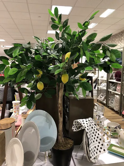 Dillard's 9