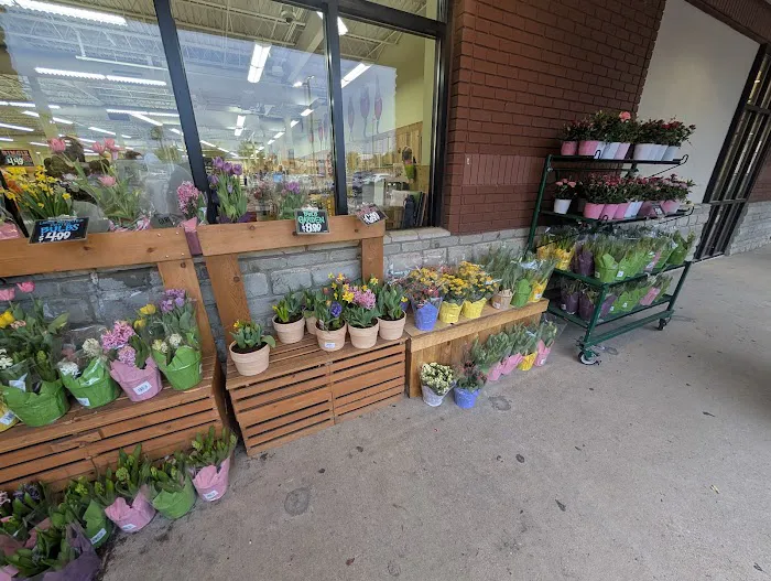 Trader Joe's 2