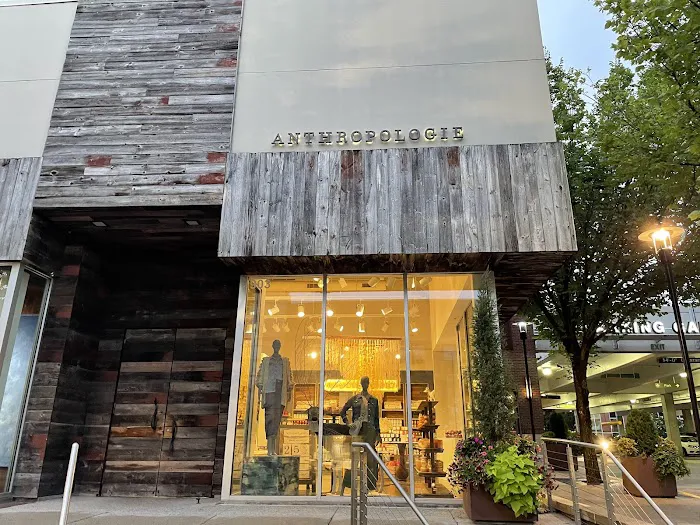 Anthropologie 1