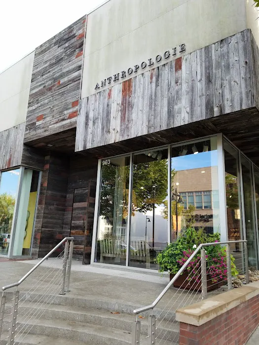 Anthropologie 3