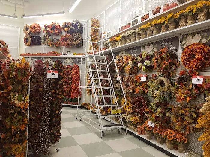 Kohl's 1
