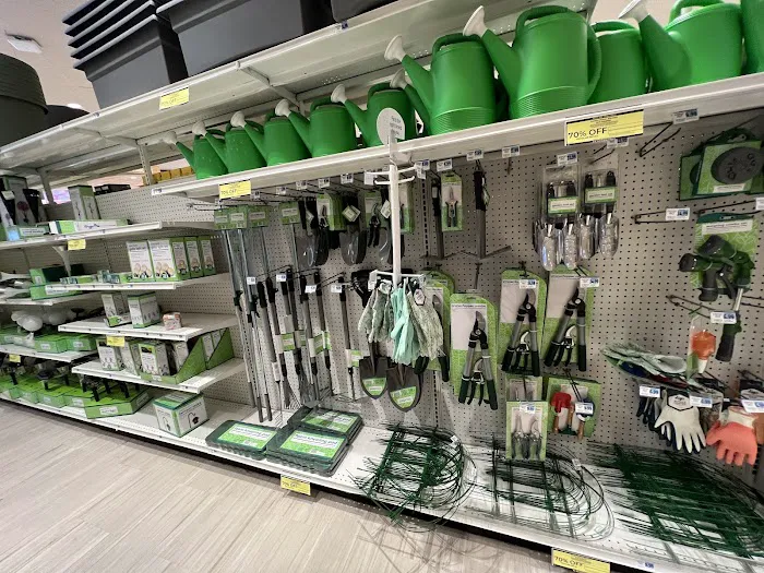 Rite Aid 9