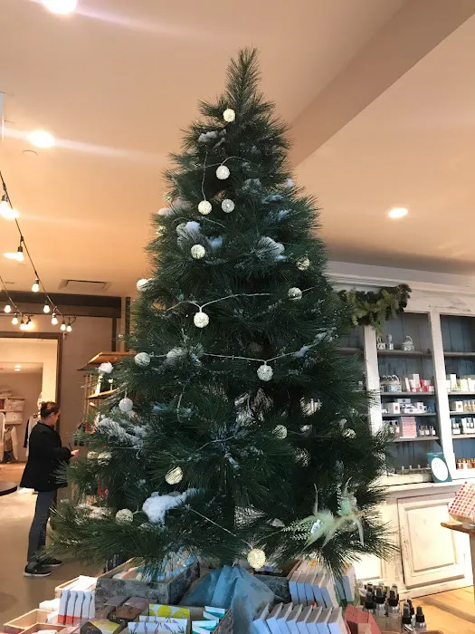 Anthropologie 0