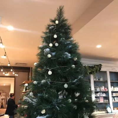 Anthropologie