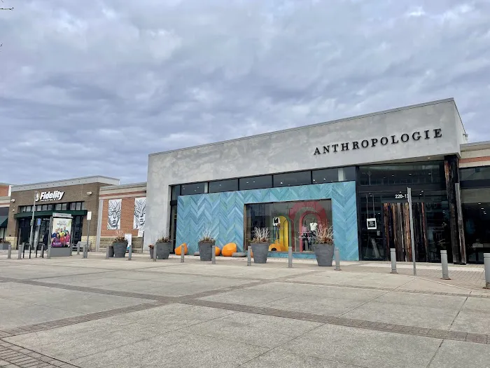 Anthropologie 2
