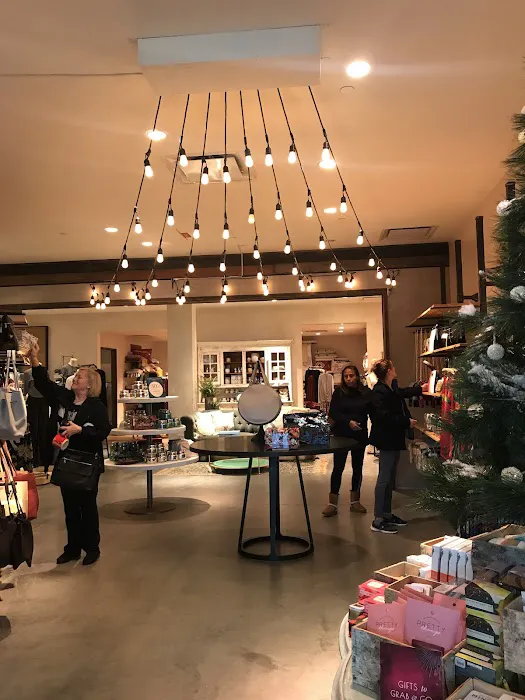 Anthropologie 3