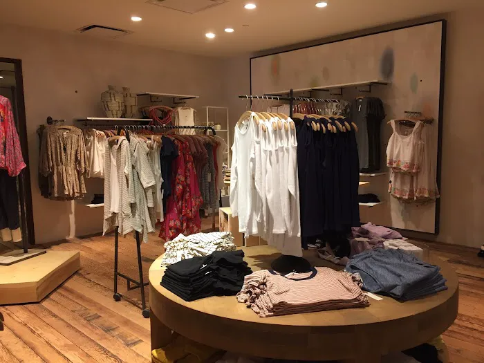 Anthropologie 4