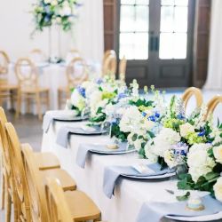 Colony House of Flowers ico