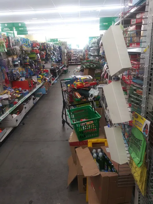 Dollar Tree 1