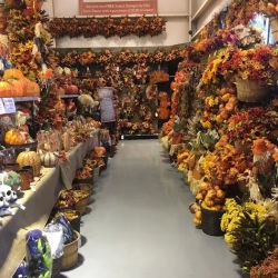 Ellis Home & Garden - Seasonal ico