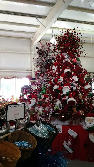 Ellis Home & Garden - Seasonal 6