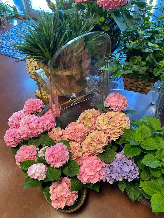 Blossoms Fine Flowers & Gifts 0