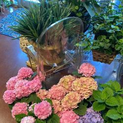 Blossoms Fine Flowers & Gifts ico