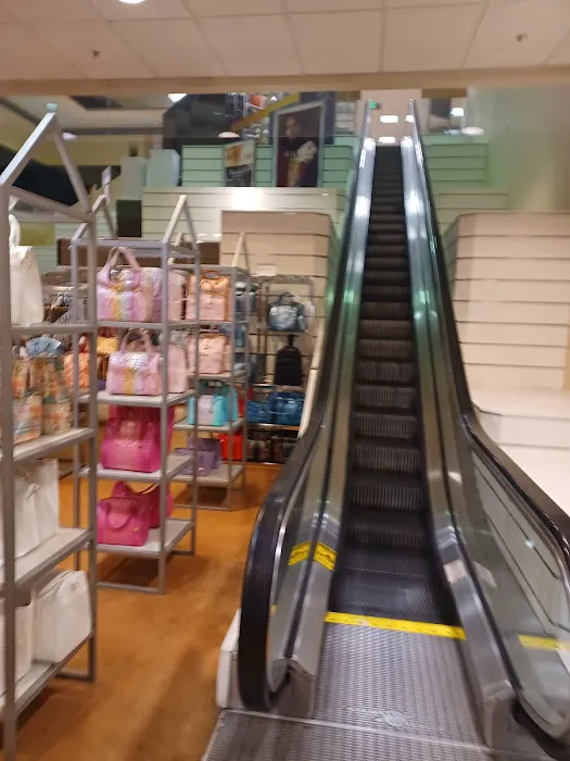 Dillard's 3