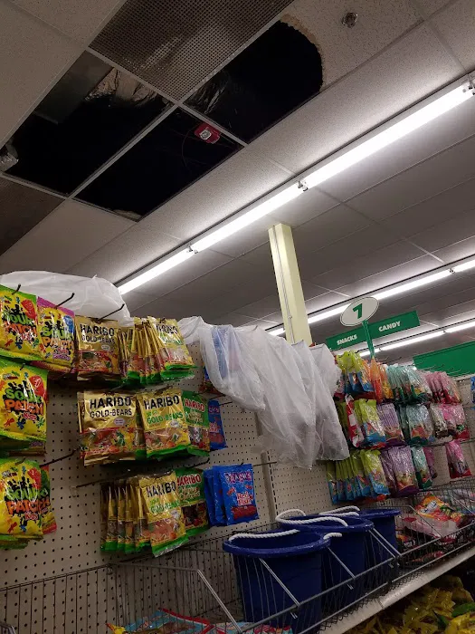 Dollar Tree 1