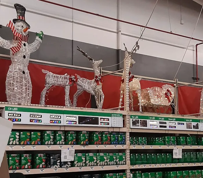 The Home Depot 3