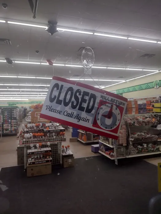 Dollar Tree 7