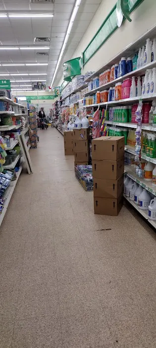 Dollar Tree 9