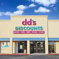 dd's DISCOUNTS ico
